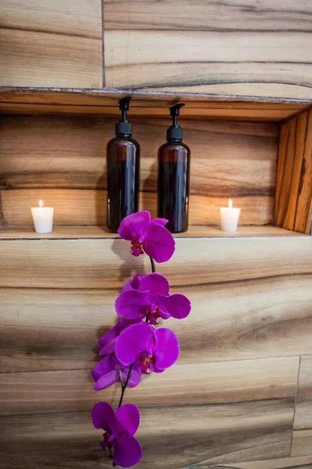 Suite De Lujo 1 Hab. Depto. 204 Playa del Carmen Mexico